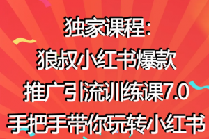 狼叔小红书爆款推广引流训练课7.0，手把手带你玩转小红书