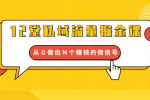 12堂私域流量掘金课：打通私域４大关卡，从０做出Ｎ个赚钱的微信号
