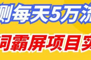 百度万词霸屏实操项目引流课，30天霸屏10万关键词