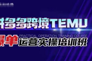 拼多多跨境TEMU爆单运营实操培训班，海外拼多多的选品、运营、爆单