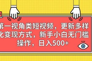 第一视角类短视频，更新多样化变现方式，新手小白无门槛操作，日入500+【揭秘】