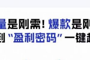 电商盈利精品课：6大盈利密码让产品更好卖，流量是刚需！爆款是刚需！找到”盈利密码”一键起爆