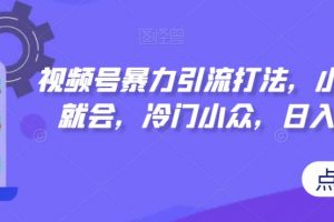 视频号暴力引流打法，小白一看就会，冷门小众，日入300+【揭秘】