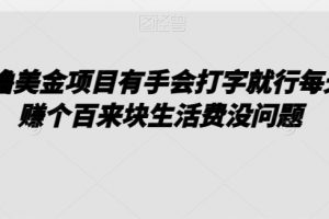 0撸美金项目有手会打字就行每天赚个百来块生活费没问题【揭秘】