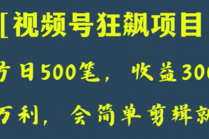 日收款500笔，纯利润3000+，视频号狂飙项目，会简单剪辑就能做【揭秘】