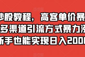 靠炒股教程，高客单价暴力变现，多渠道引流方式暴力涨粉，新手也能实现日入2000+【揭秘】