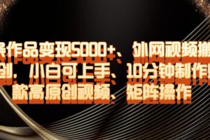 单条作品变现5000+、外网视频搬运二创，小白可上手，10分钟制作爆款高原创视频，矩阵操作【揭秘】