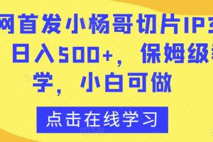 全网首发小杨哥切片IP3.0，日入500+，保姆级教学，小白可做【揭秘】