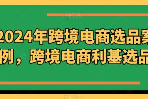 2024年跨境电商选品案例，跨境电商利基选品