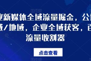 企业新媒体全域流量掘金，公域/私域/地域，企业全域获客，百亿流量收割器