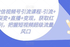 微信视频号引流课程-引流+裂变+直播+变现，获取红利，把握短视频超级流量风口