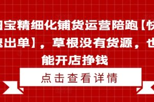 淘宝精细化铺货运营陪跑【快速出单】，草根没有货源，也能开店挣钱