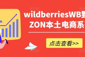 wildberriesWB野莓/OZON本土电商系列课，掌握WB产品优化，出单技巧和订单处理等