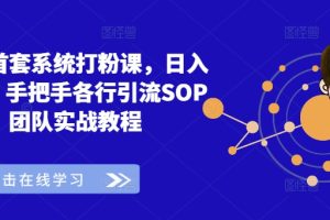 全网首套系统打粉课，日入3k+，手把手各行引流SOP团队实战教程