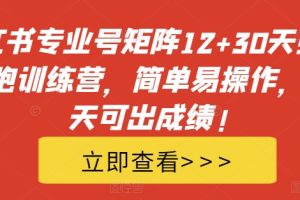 小红书专业号矩阵12+30天引流陪跑训练营，简单易操作，15天可出成绩!